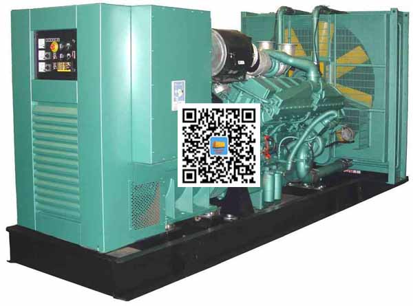 布拖笼型异步发电机的电力电子控制技术